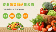 2026年 食堂送菜办事商保举：高效配送取新颖食材